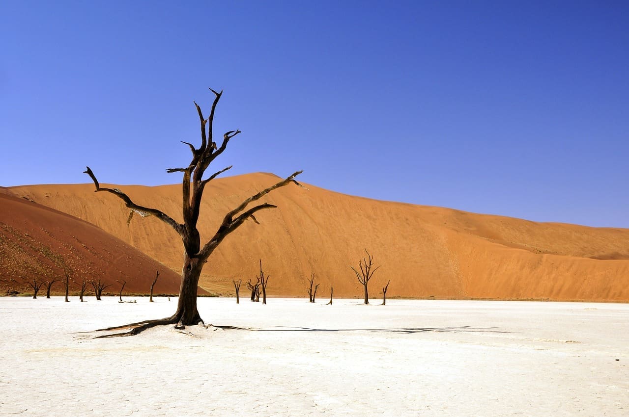 The Changing Landscapes of Namibia