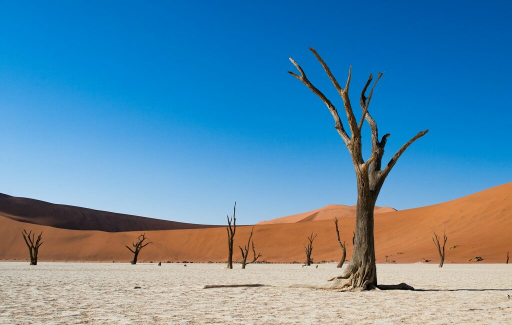 Namib-Naukluft National Park