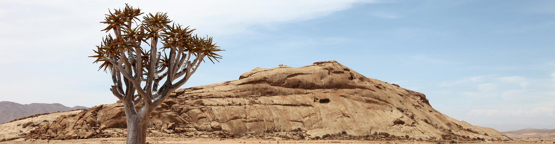Namibia Safari