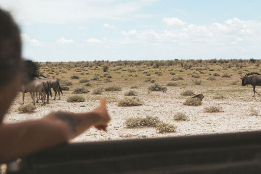 Fantasia Namibia