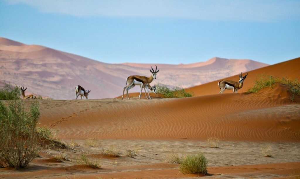 Namibia in December