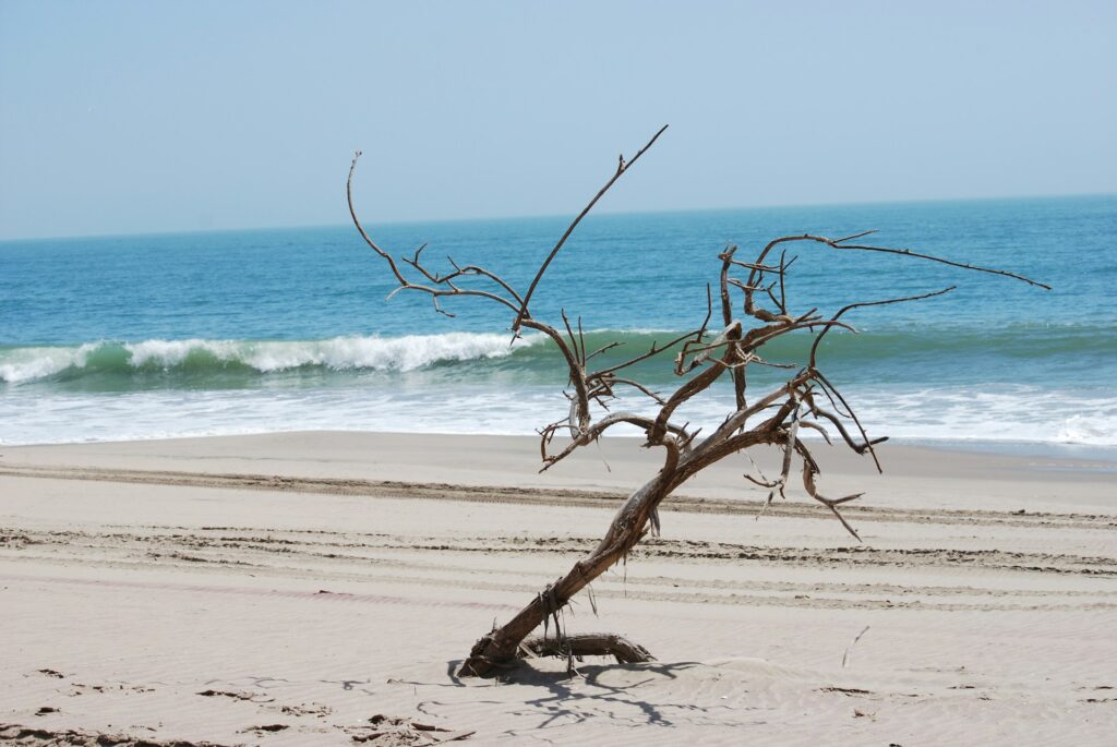 The Coast and Ocean Seen on the Beach Safaris in Namibia
