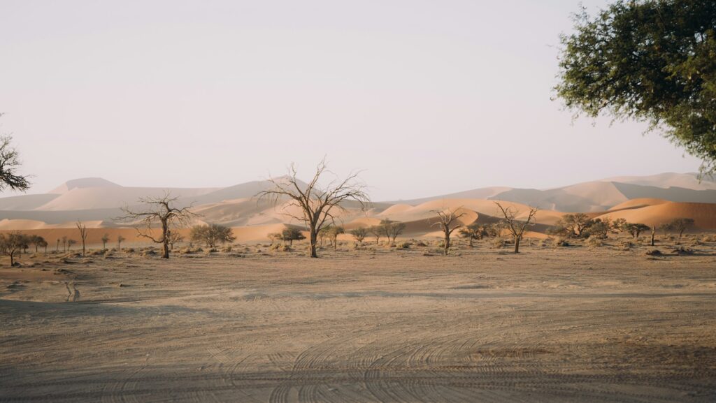 Damaraland Namibia