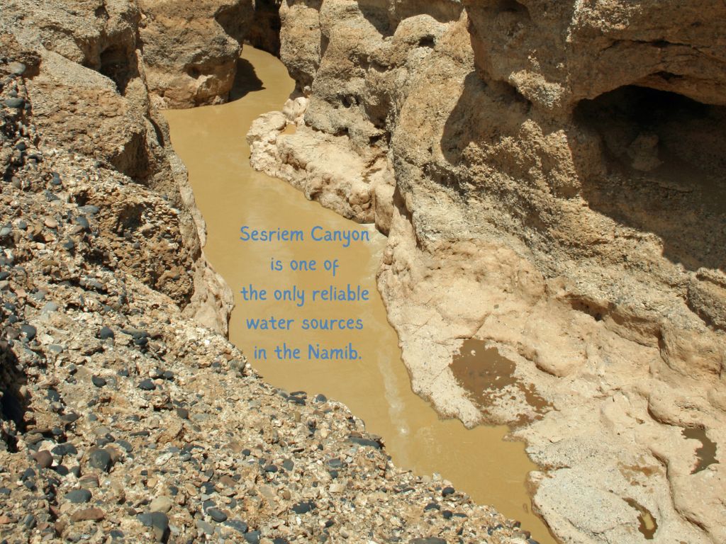 Water in Sesriem Canyon