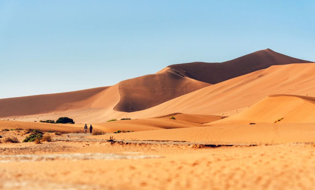 Dunes in Namib-Naukluft National Park