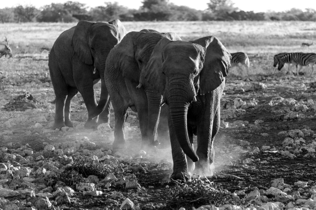 Bwabwata National Park