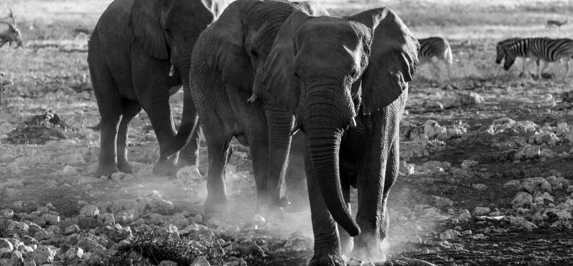 Bwabwata National Park