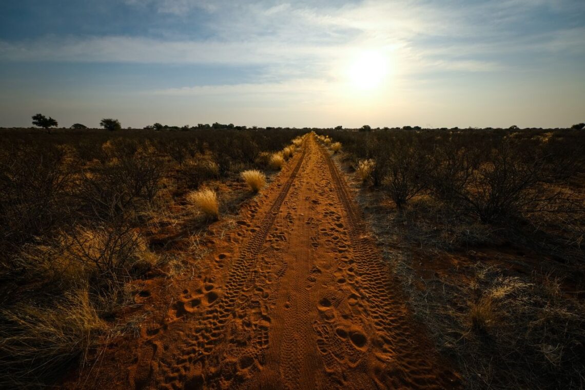 Kalahari Desert Facts