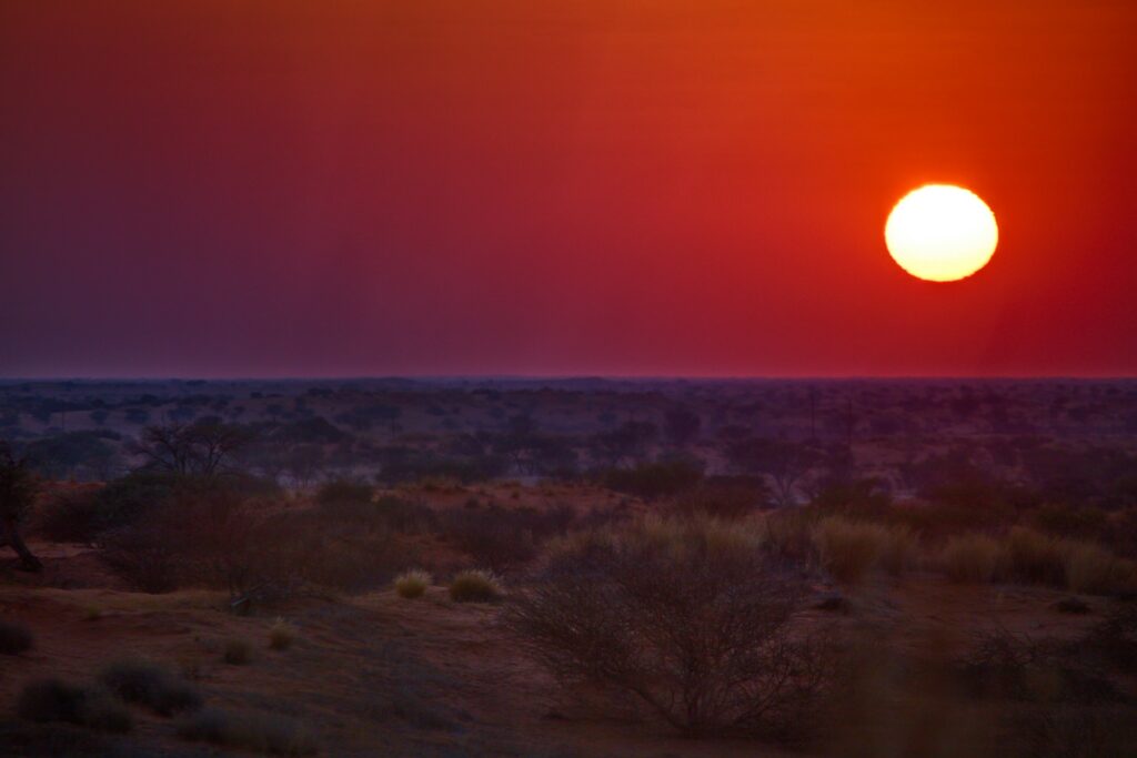 Kalahari Sunset