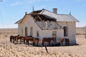 Horses Close to Aus Aus, Namibia