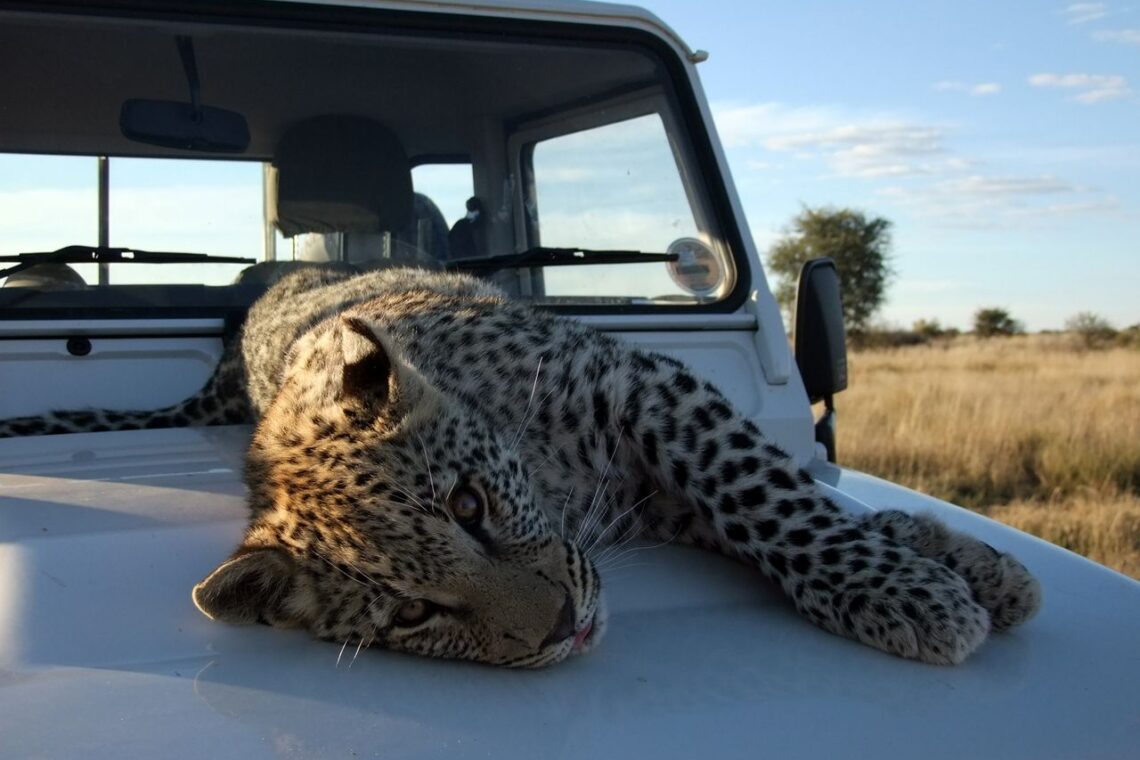 Mahangu National Park