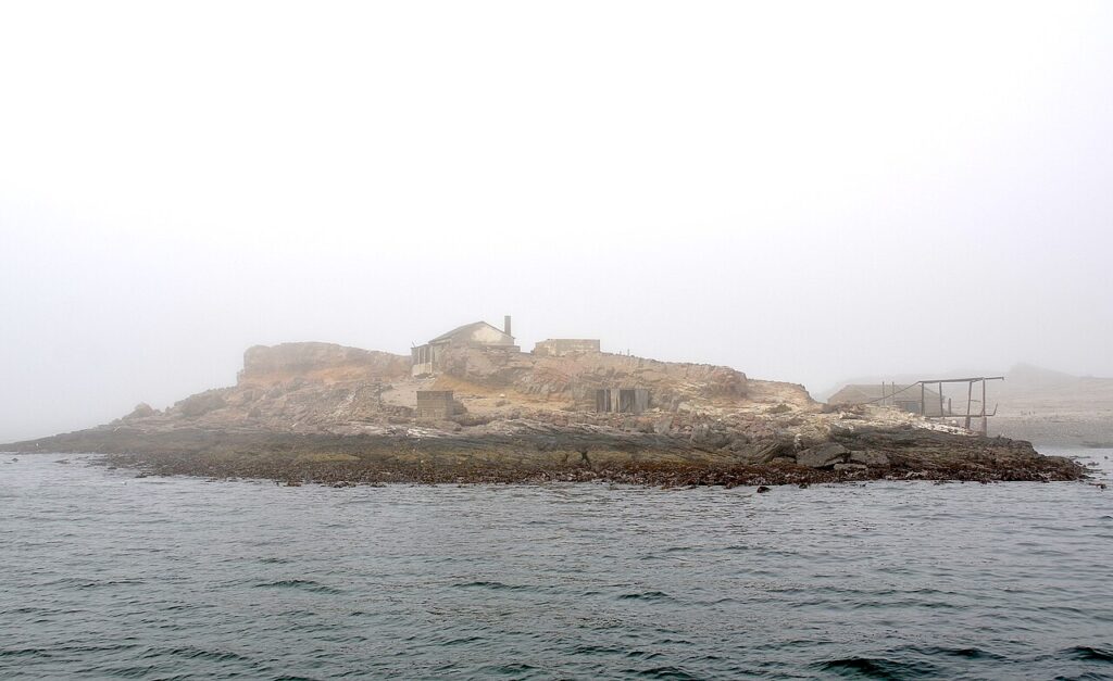 Halifax Island Namibia
